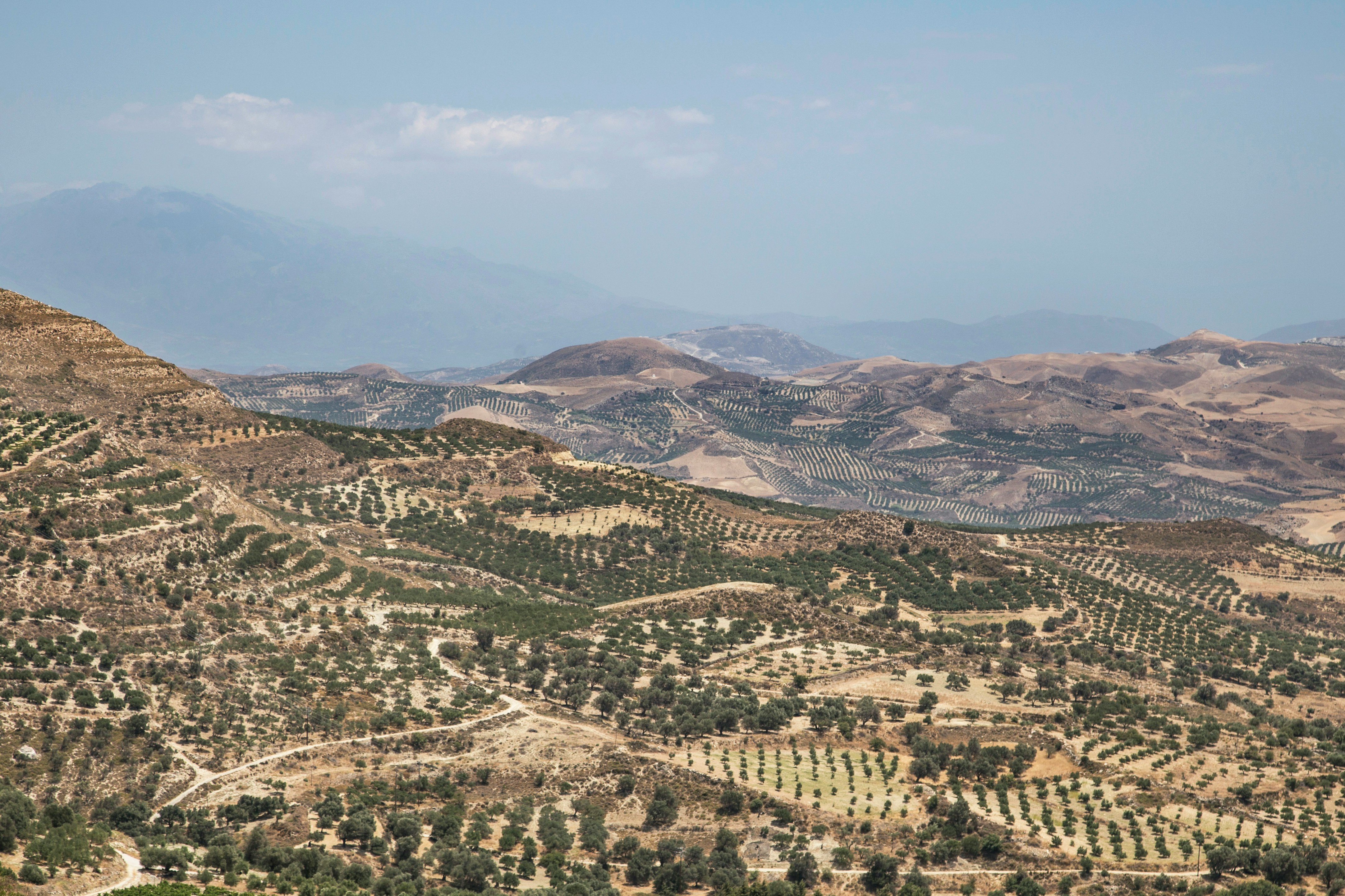 aerial view of green trees and mountains during daytime